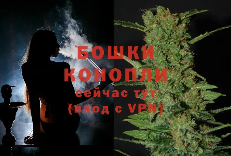 Конопля OG Kush  Красногорск 